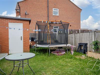 Picture 20